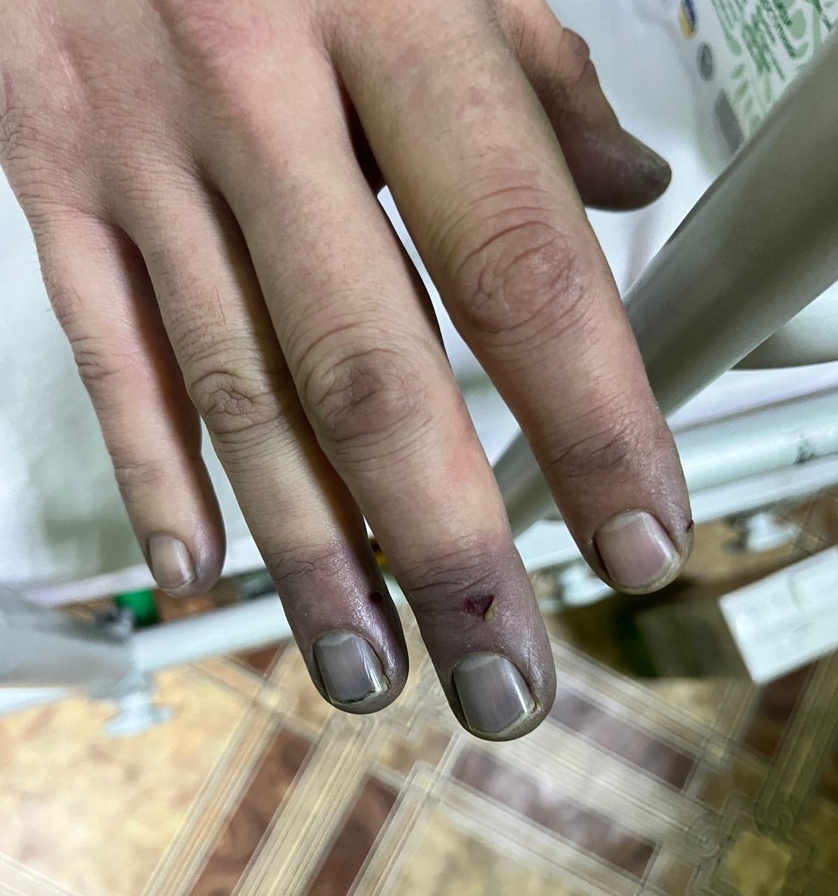 Прикордонники врятували двох чоловіків, що заблукали в лісі під час сильного морозу - фото 3