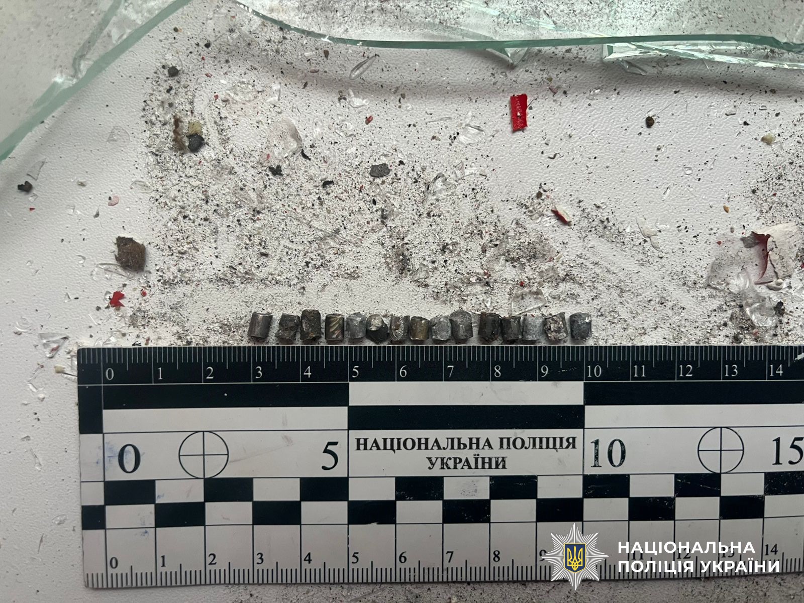 Підірвав гранату у хостелі: в Києві затримали злочинця