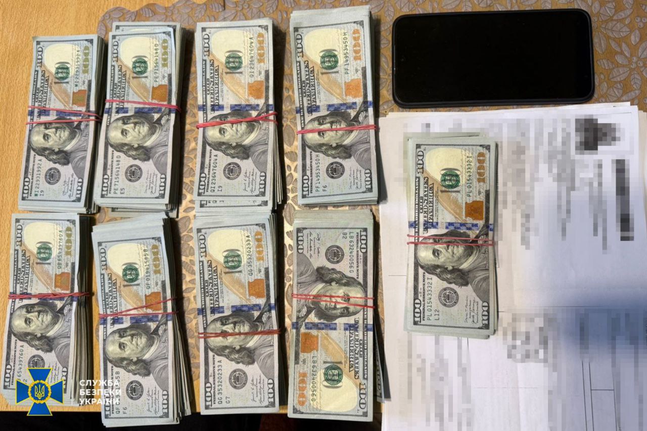Голова ВЛК продавала «непридатність» до служби — у неї знайшли понад 300 тис. доларів - фото 2