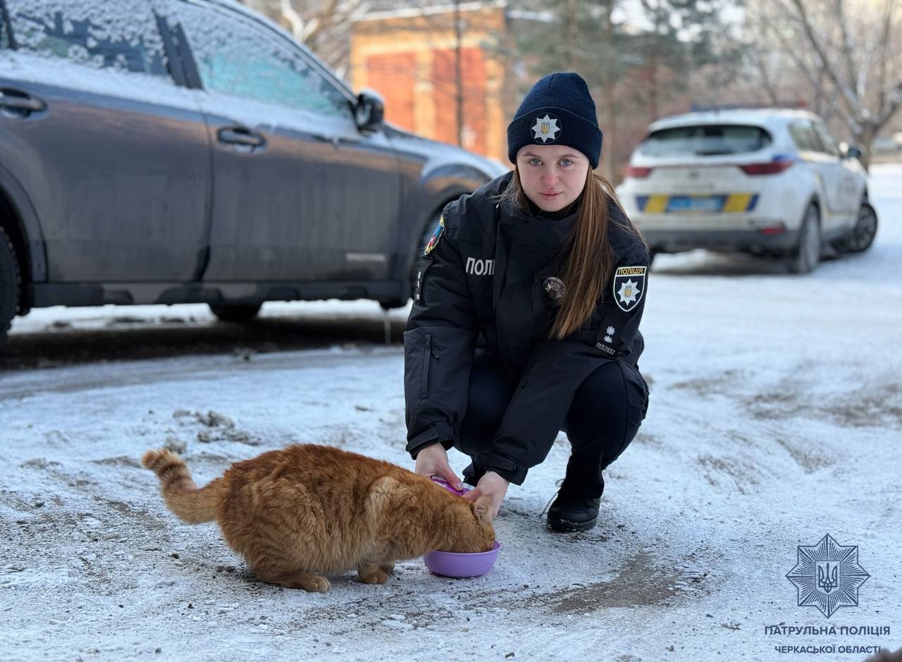 Не проганяйте тварин з під’їздів, – патрульні звернулися до жителів Черкащини - фото 4