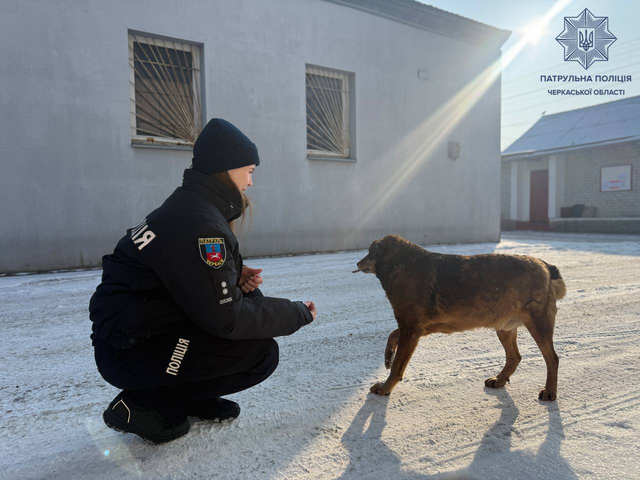 Не проганяйте тварин з під’їздів, – патрульні звернулися до жителів Черкащини - фото 2