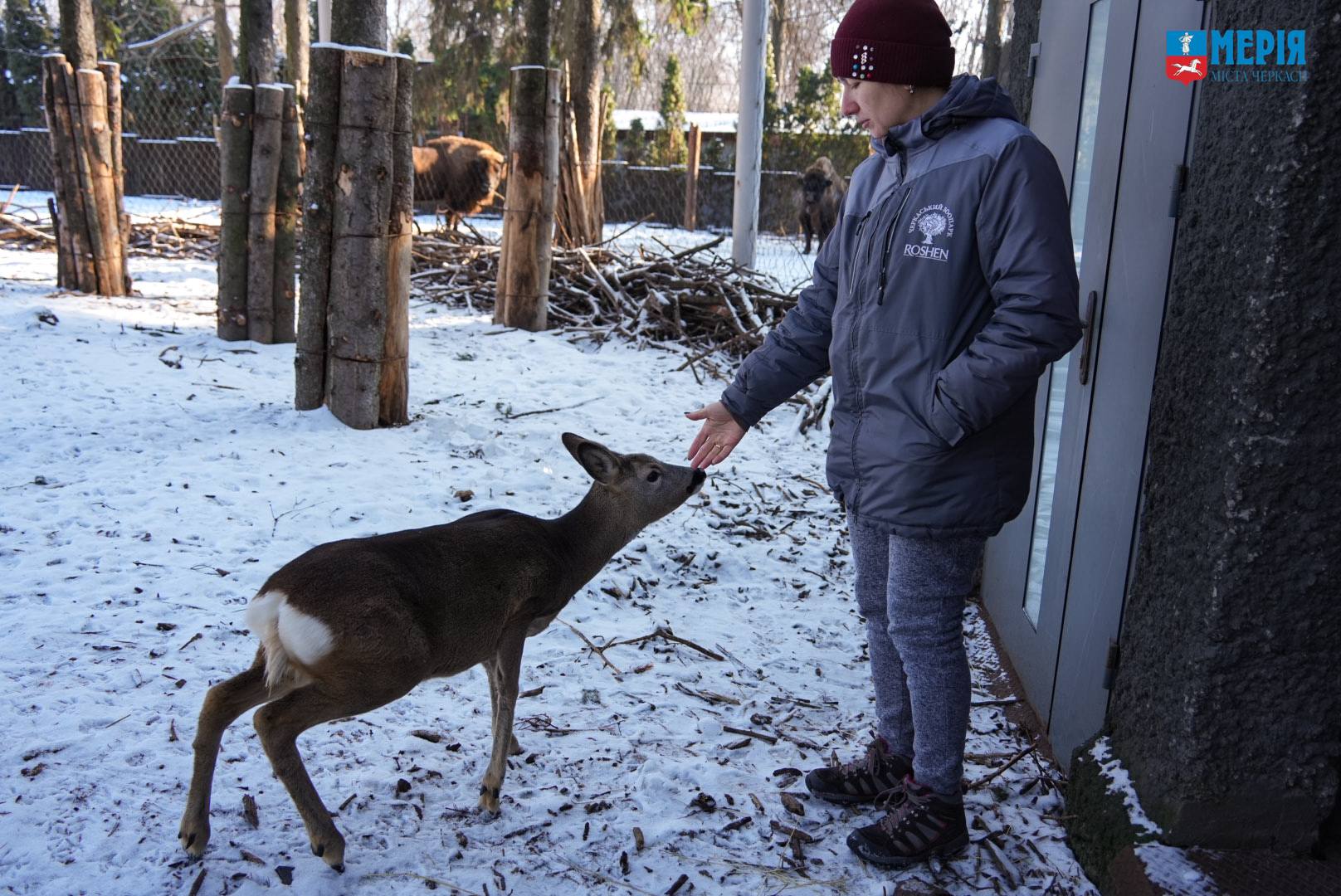 Як зимують тварини у Черкаському зоопарку. Фото - фото 9