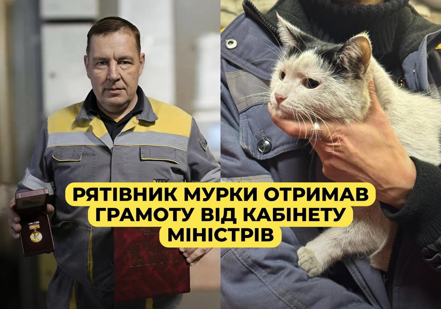 Енергетика, який врятував кішку після обстрілу станції, нагородили грамотою від Кабміну