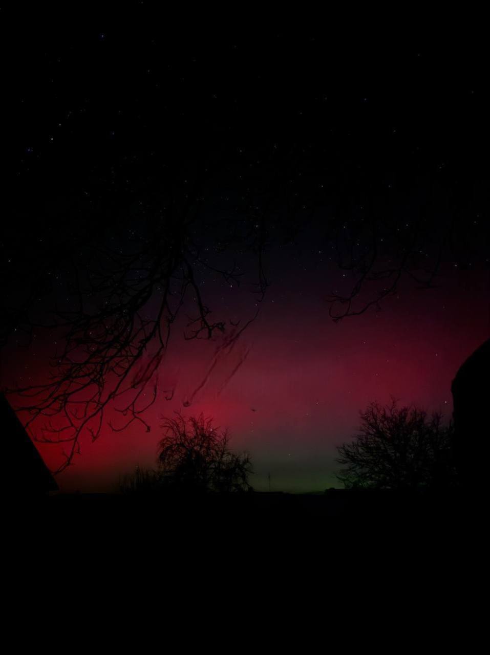 Небо на Київщині цієї ночі має фантастичний вигляд - фото 2