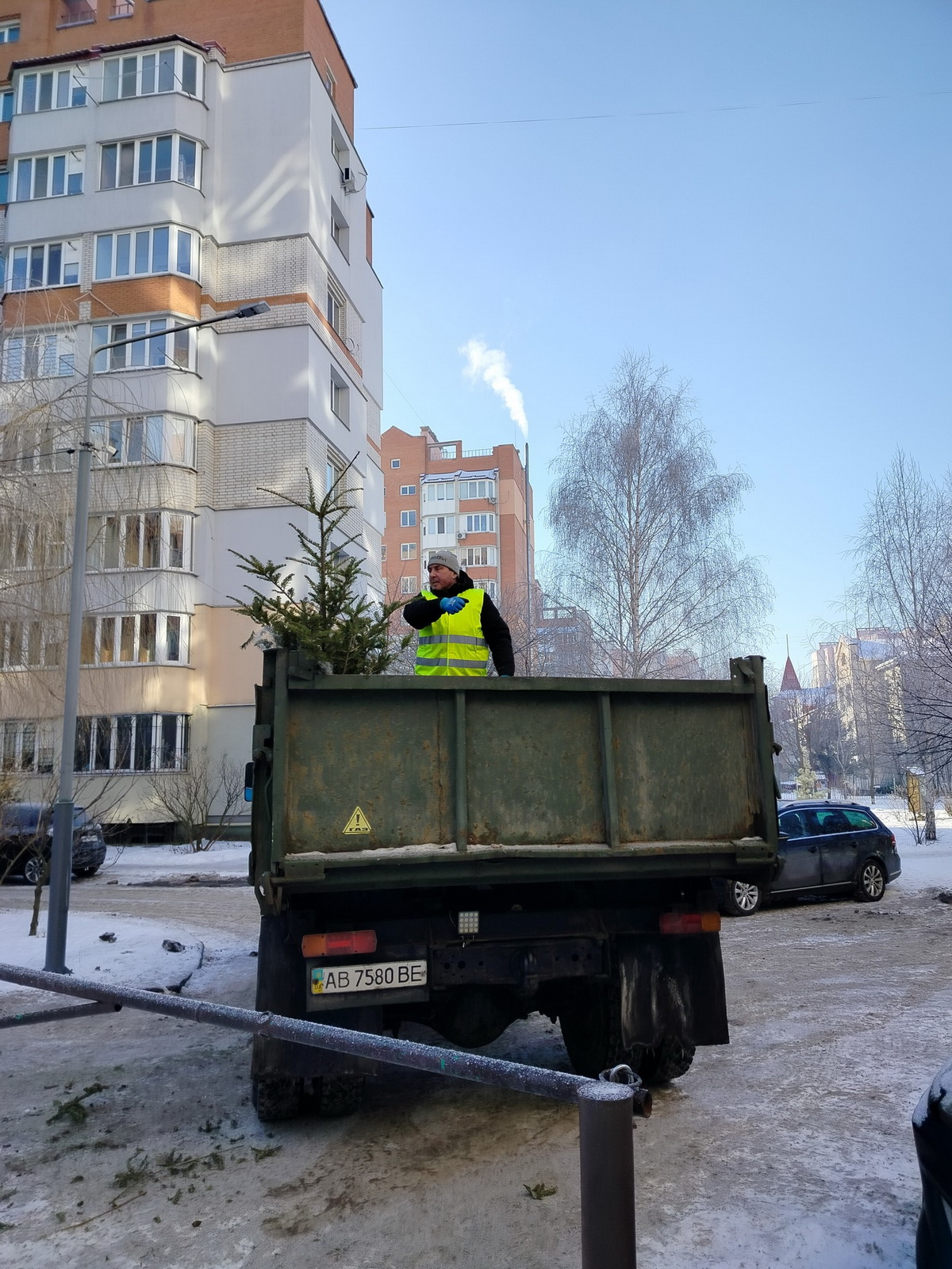 У Вінниці зібрали та утилізували дев’ять вантажівок ялинок