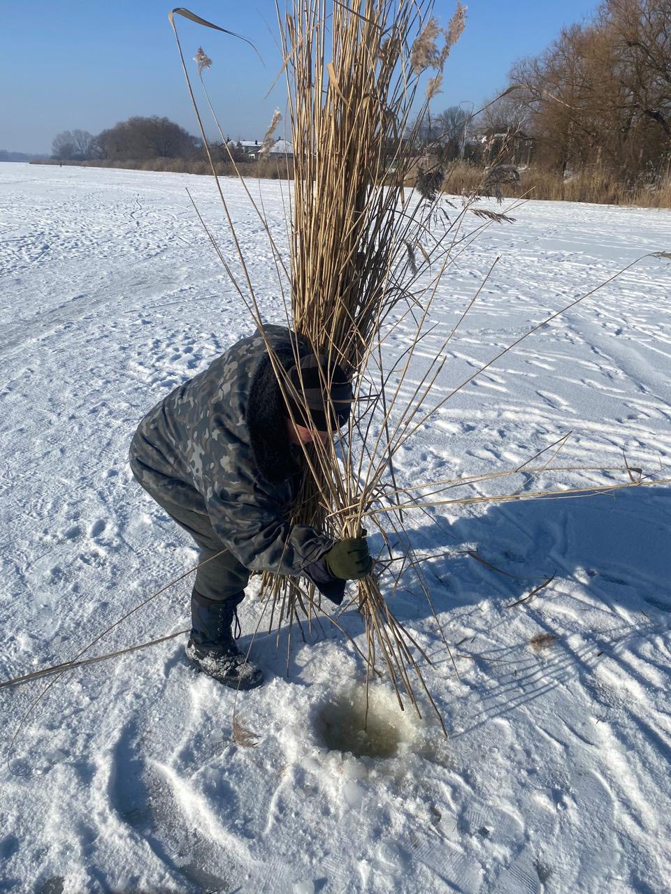 Рятують рибу від замору: на водоймах Вінниччини прорубують ополонки