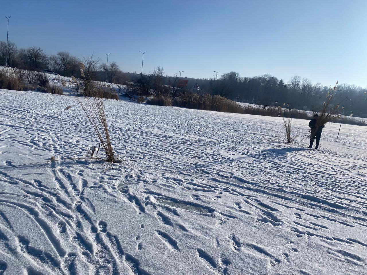 Рятують рибу від замору: на водоймах Вінниччини прорубують ополонки - фото 2