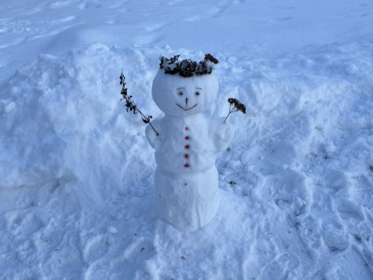 Маленьке диво великого міста: історія кольорового іглу в одному з дворів Києва - фото 2