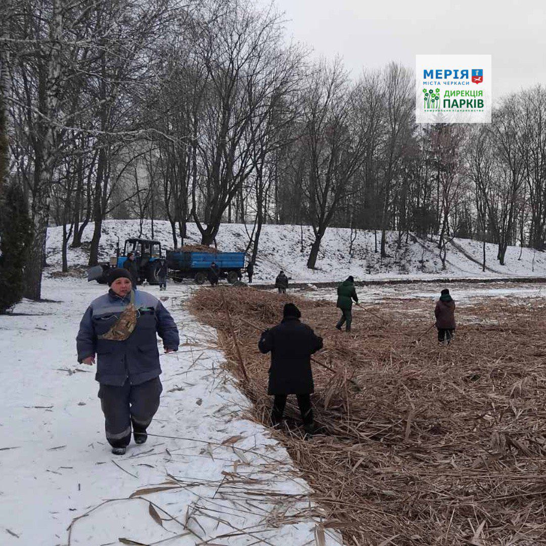 У Черкасах розібрали головну ялинку