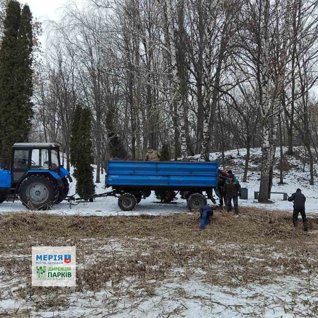 У Черкасах розібрали головну ялинку - фото 2