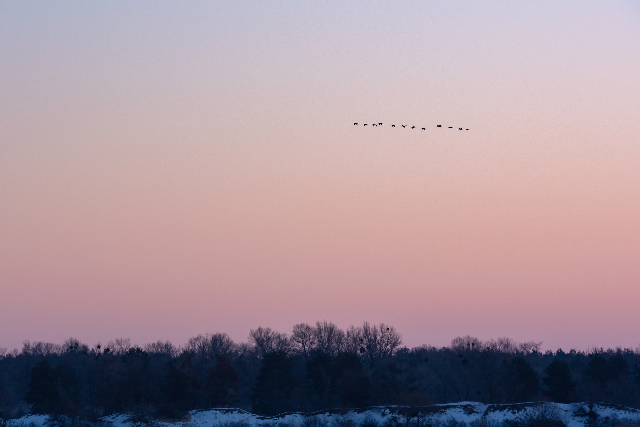 Зимовий світанок на Дніпрі у Каневі. Фото - фото 2