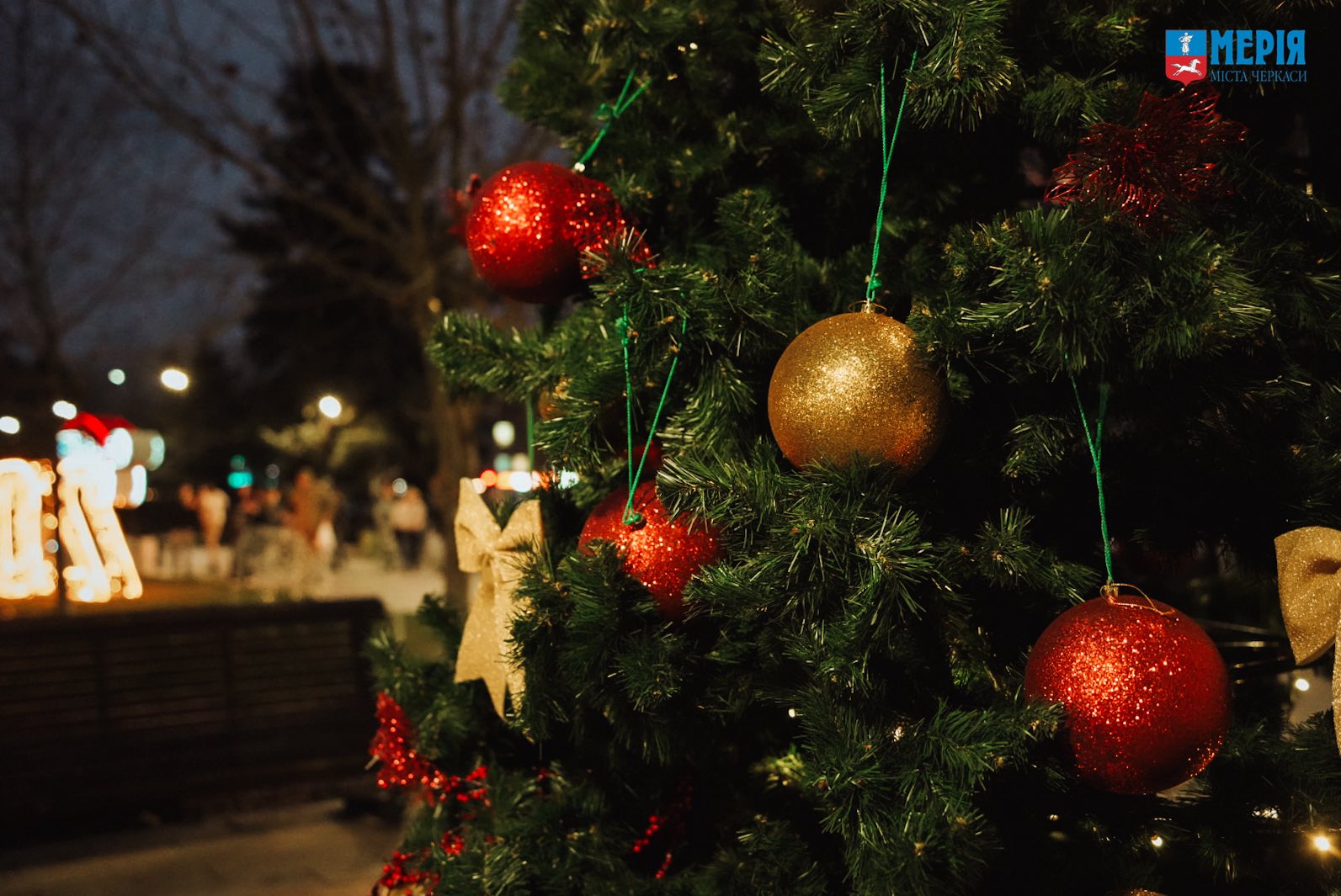 Клімат Черкаської області: особливості погоди, максимальні та мінімальні показники - фото 2