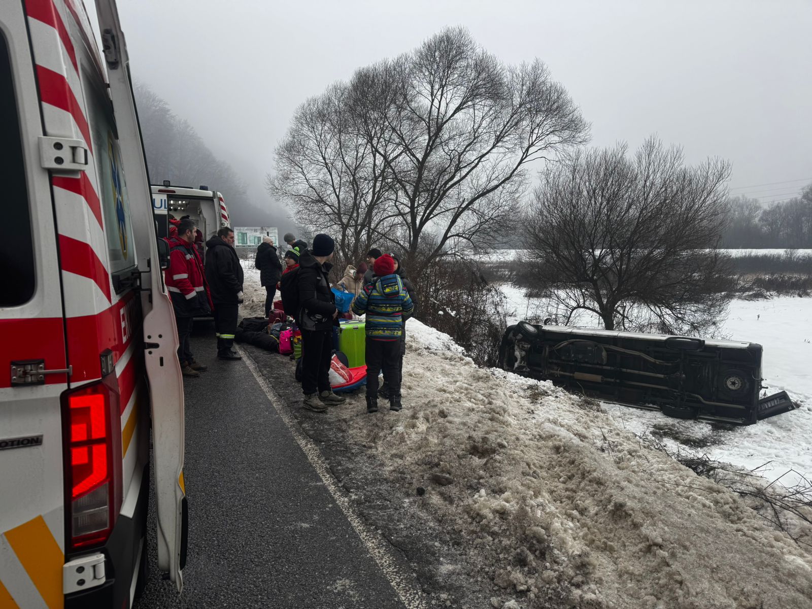 На Закарпатті перекинувся мікроавтобус із дітьми