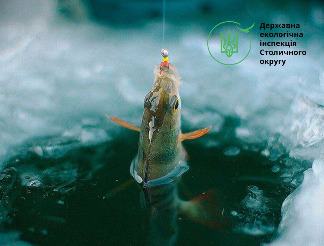 Зимувальні ями в Києві та області: де заборонено ловити рибу - фото 3