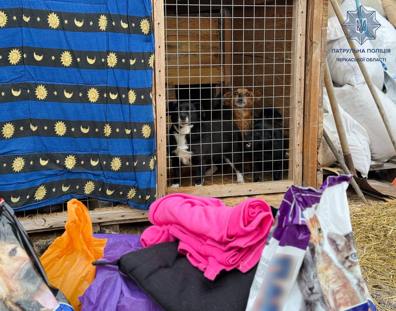 У черкаський притулок для тварин привезли ковдри і корм - фото 5