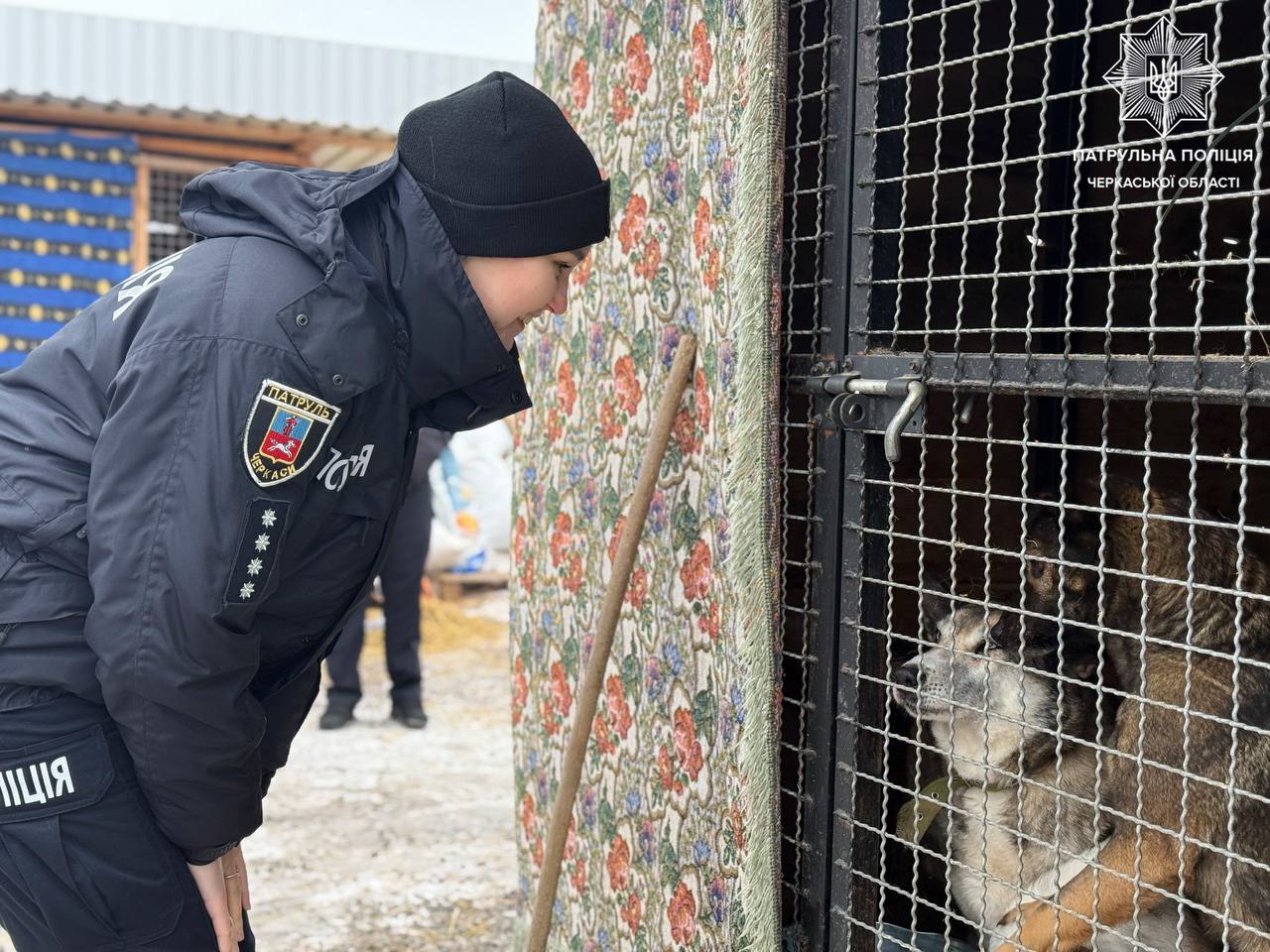 У черкаський притулок для тварин привезли ковдри і корм - фото 7