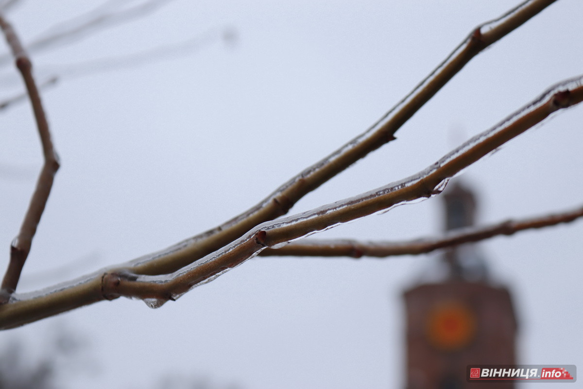 Ожеледиця у Вінниці: спецтехніка на дорогах та поради, як уникнути травмувань - фото 9