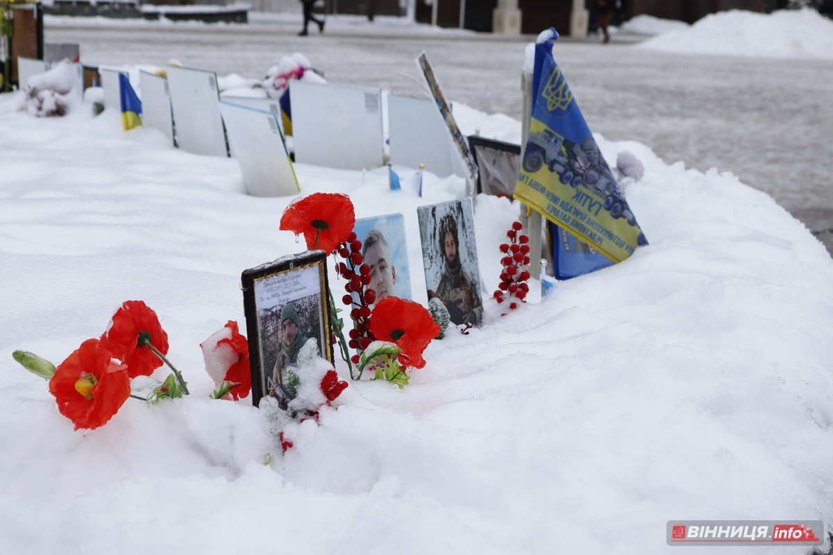 Ожеледиця у Вінниці: спецтехніка на дорогах та поради, як уникнути травмувань - фото 14