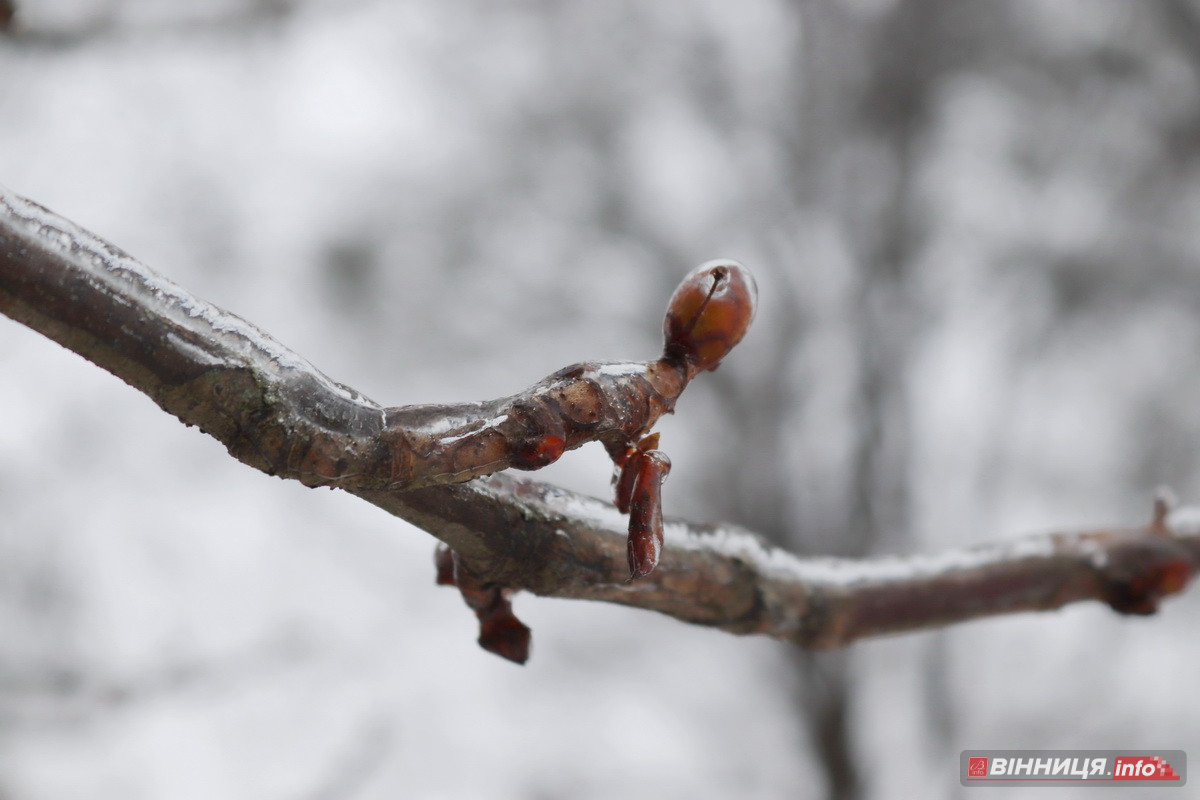 Ожеледиця у Вінниці: спецтехніка на дорогах та поради, як уникнути травмувань - фото 15