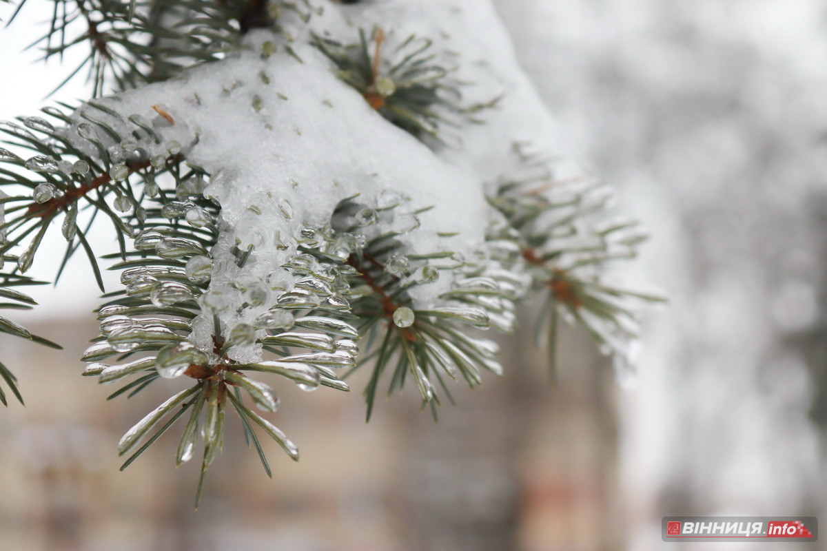 Ожеледиця у Вінниці: спецтехніка на дорогах та поради, як уникнути травмувань - фото 16