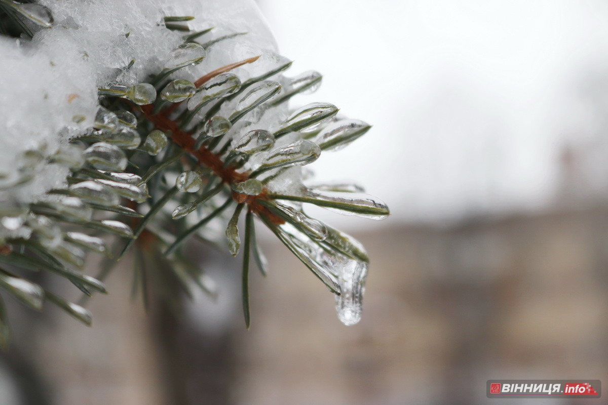 Ожеледиця у Вінниці: спецтехніка на дорогах та поради, як уникнути травмувань - фото 17
