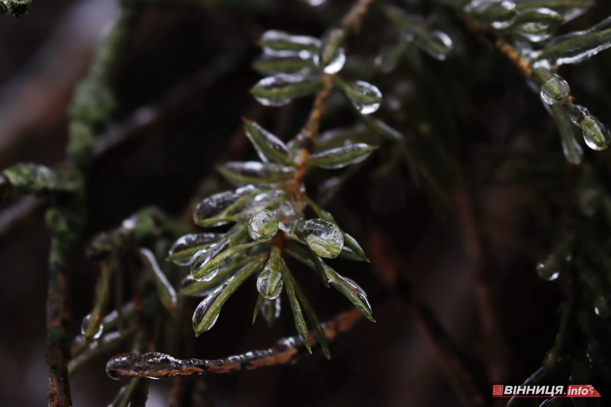 Ожеледиця у Вінниці: спецтехніка на дорогах та поради, як уникнути травмувань - фото 19