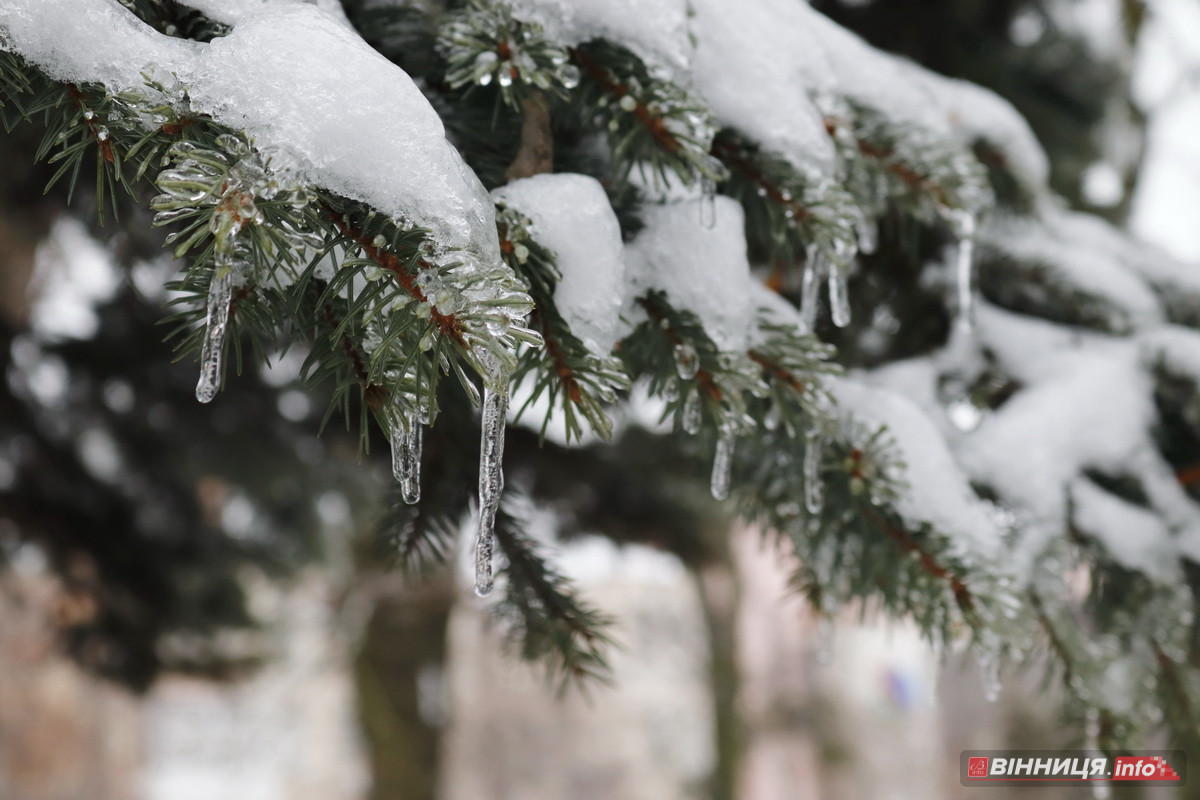 Ожеледиця у Вінниці: спецтехніка на дорогах та поради, як уникнути травмувань - фото 20