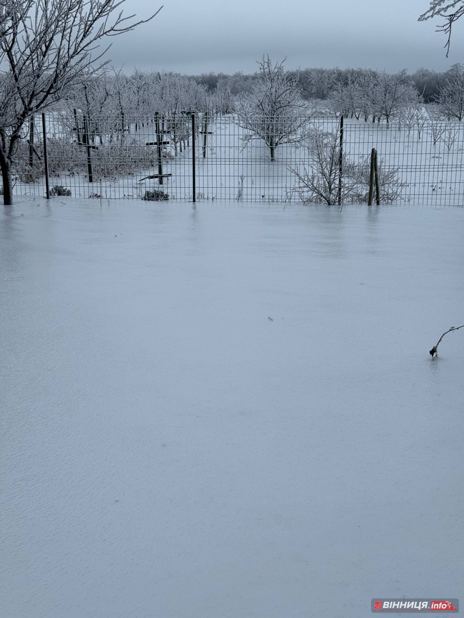 Фермер з Вінниччини розповів, як захистити сад від обледеніння - фото 4