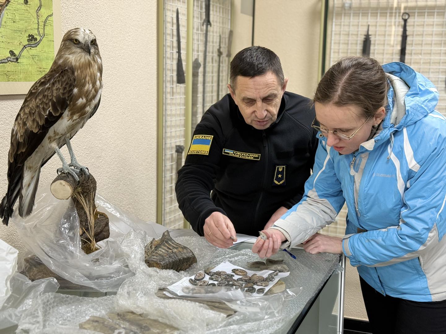 Київські митники передали до музею зуб мамута та скамʼянілості віком понад 400 млн років