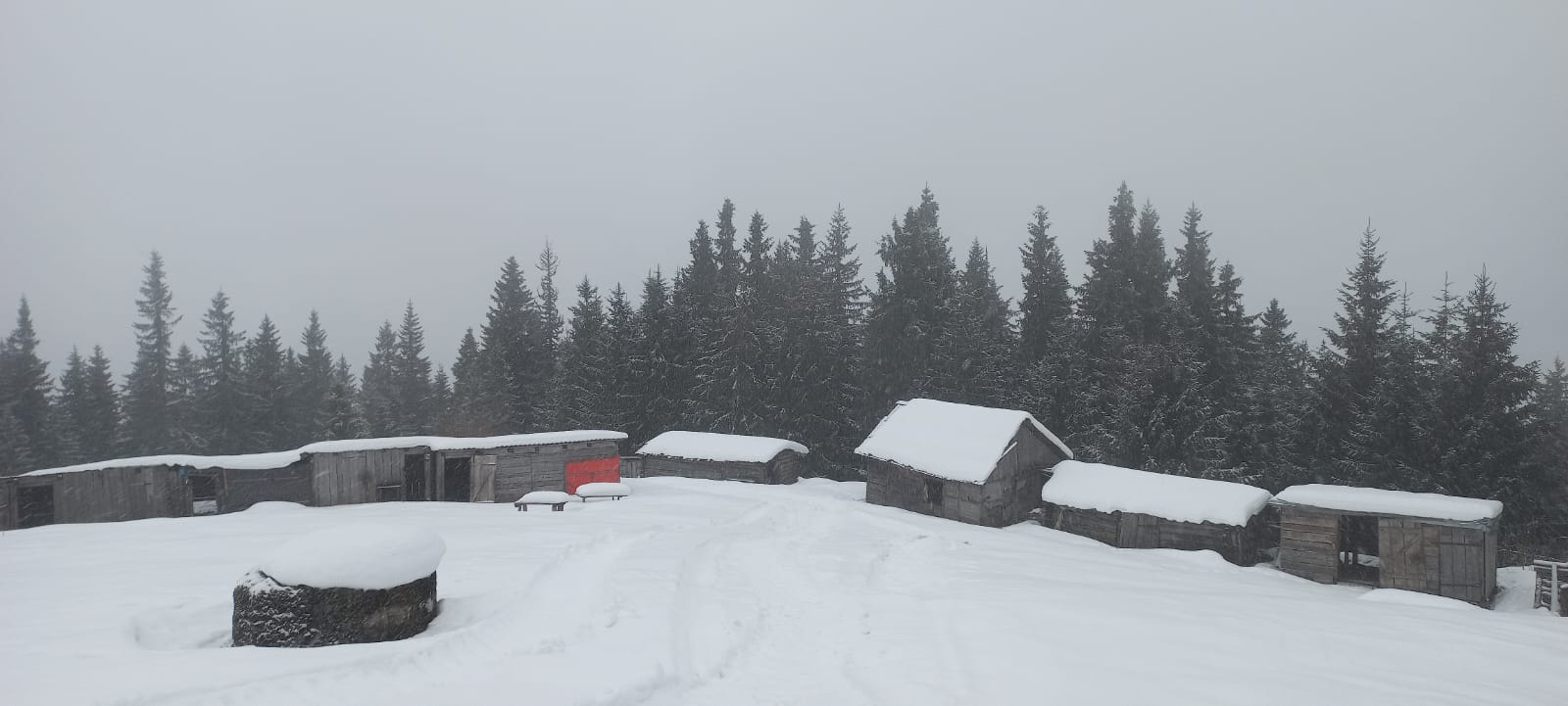 Киянин заблукав у засніжених Карпатах і ледь не загинув