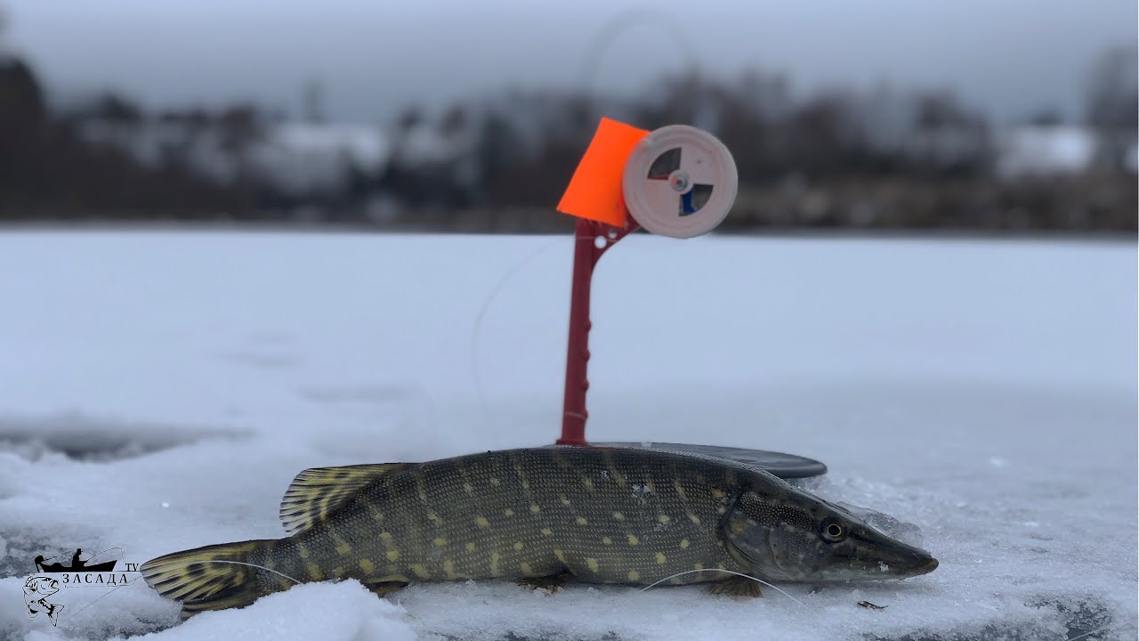 Детальний календар рибалки на кожен день 2026 року