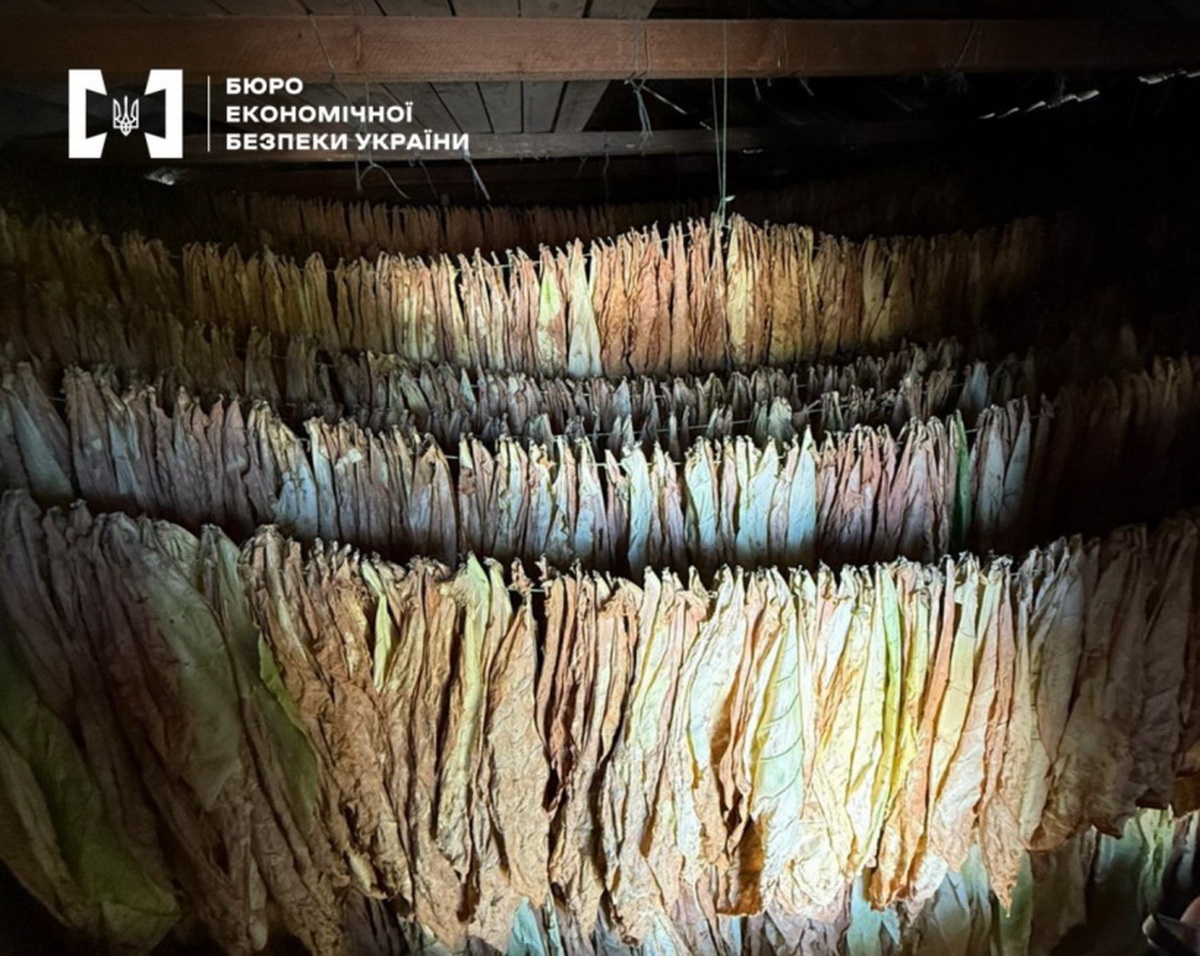 Судитимуть трьох мешканців Вінниччини за підпільне виготовлення тютюнових виробів