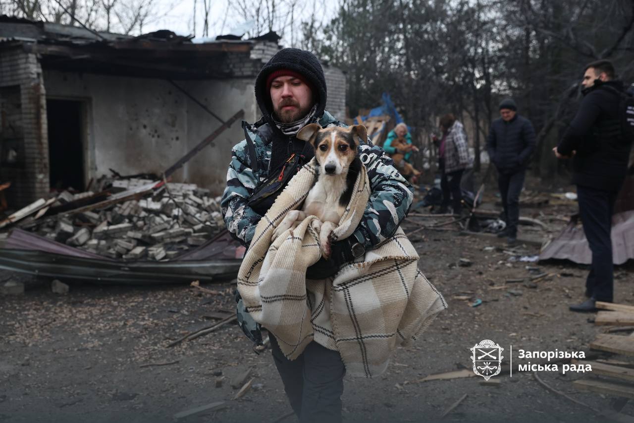 Притулок для тварин у Запоріжжі атакували росіяни