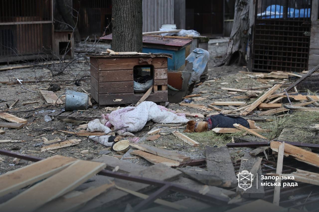 Притулок для тварин у Запоріжжі атакували росіяни - фото 5