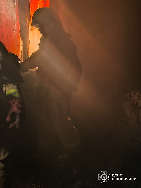 У власній оселі через пожежу загинула жінка на Вінниччині