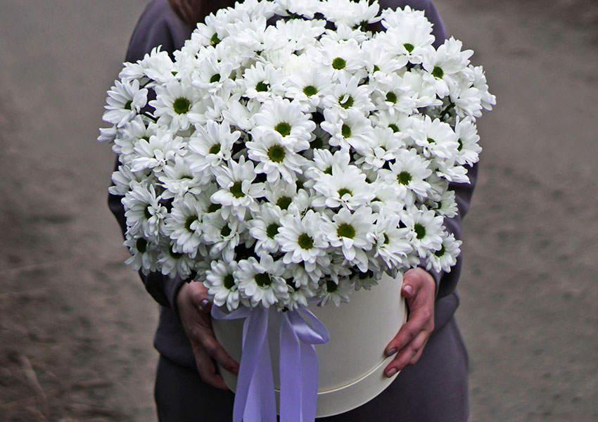 14 лютого: сервіс доставки по Києву радить замвити квіти он-лайн - фото 3