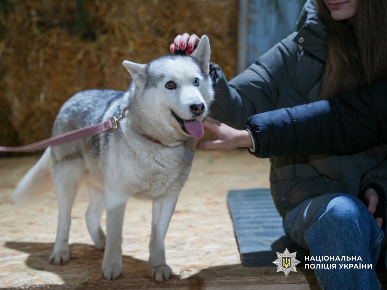 Військово-спортивні змагання для молоді відбулися у Черкаській області - фото 5