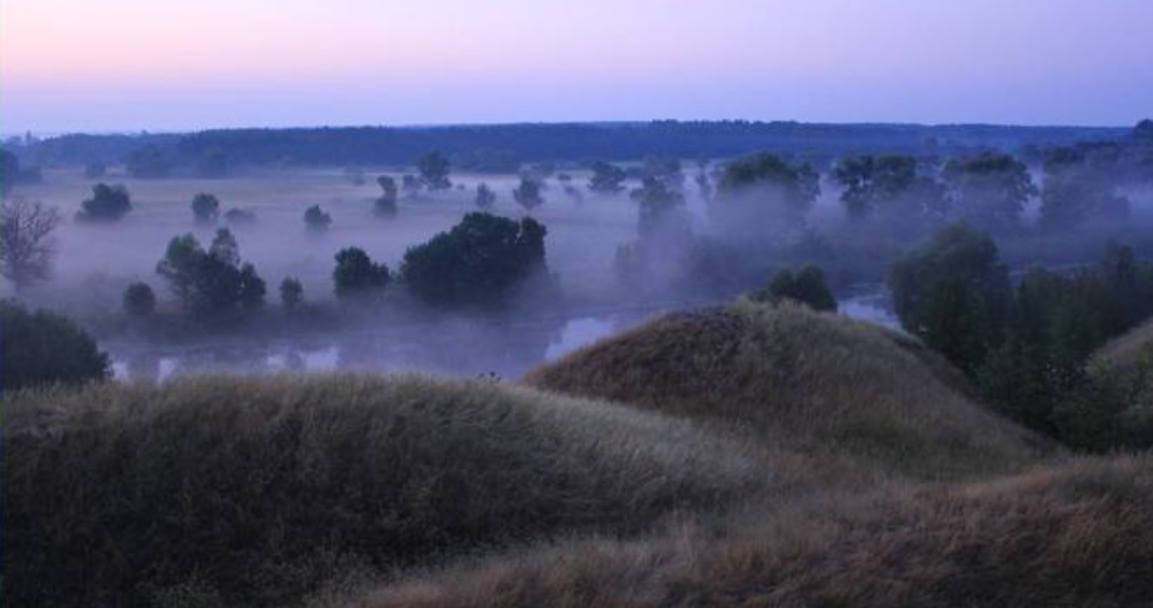 Селищна рада незаконно передала в оренду підприємству землі національного природного парку «Нижньосульський»