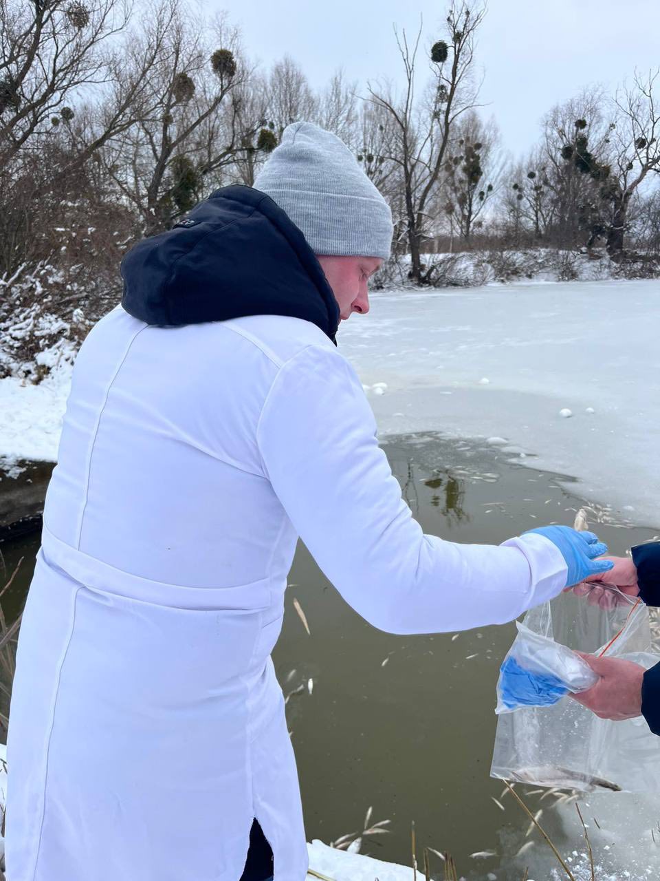 На Київщині з’ясовують причини масової загибелі риби