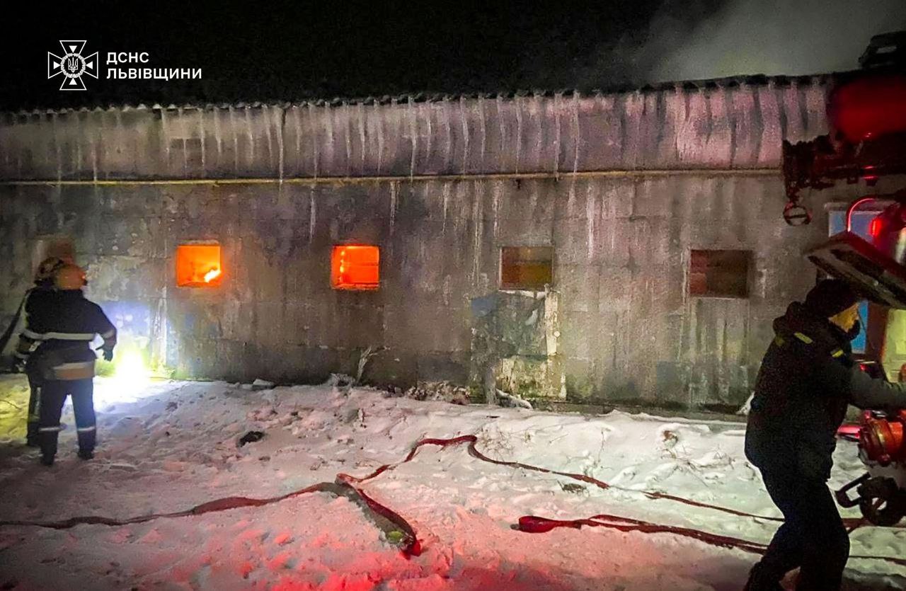 Понад 23 000 курчат врятували під час пожежі на Львівщині