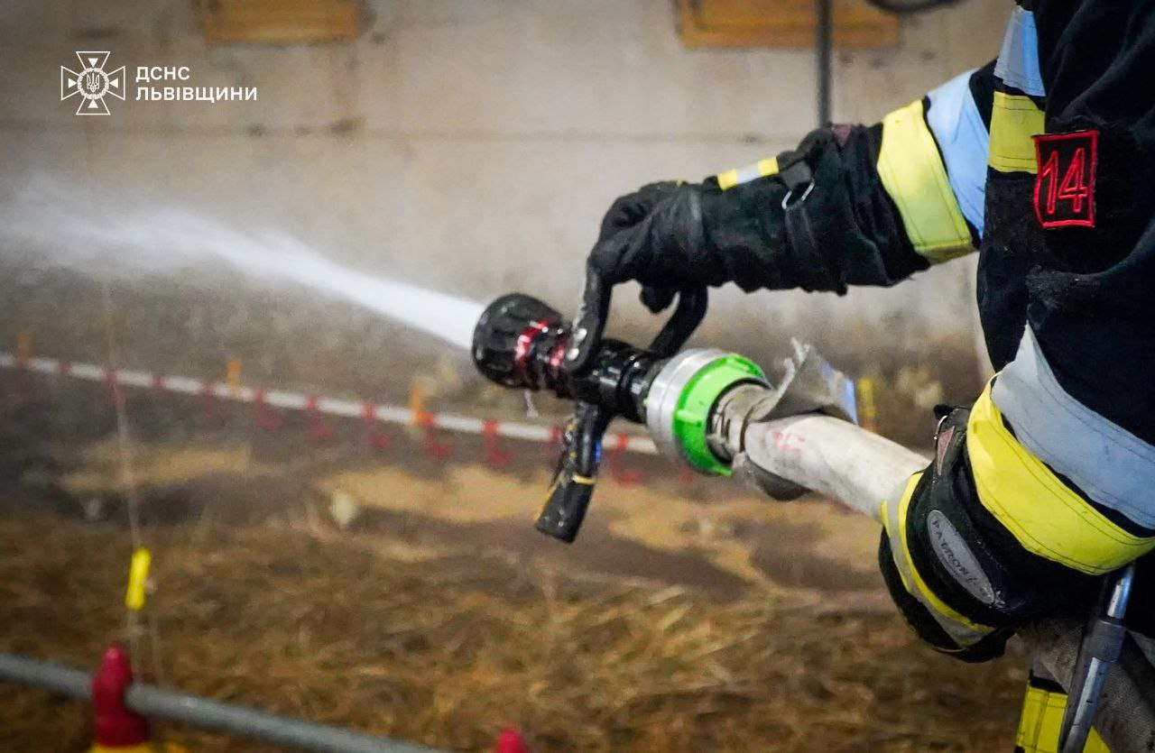 Понад 23 000 курчат врятували під час пожежі на Львівщині - фото 2