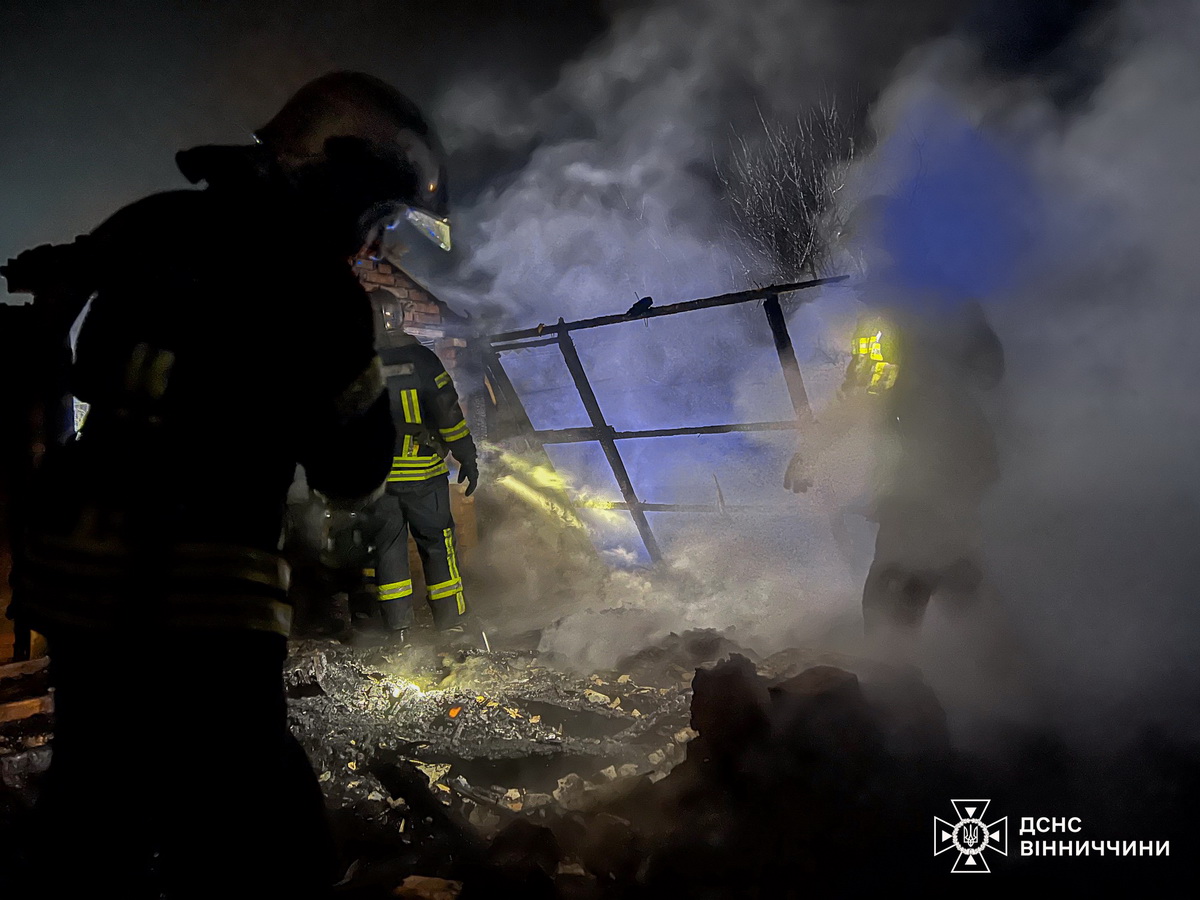 Горів хлібний кіоск, лазня й дача, у Вінниці врятували собак і кішку