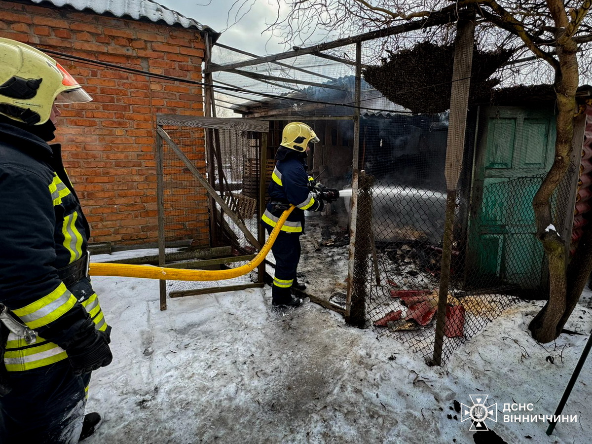 Горів хлібний кіоск, лазня й дача, у Вінниці врятували собак і кішку - фото 3