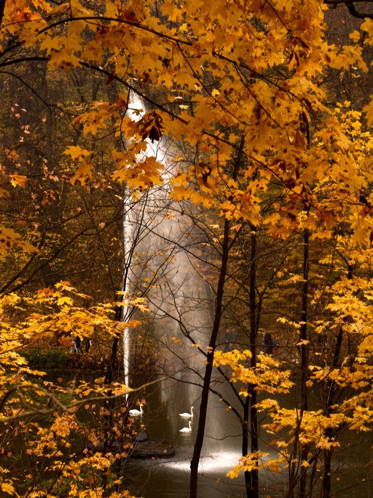 Уманський дендропарк Софіївка: історія кохання та цікаві локації - фото 6