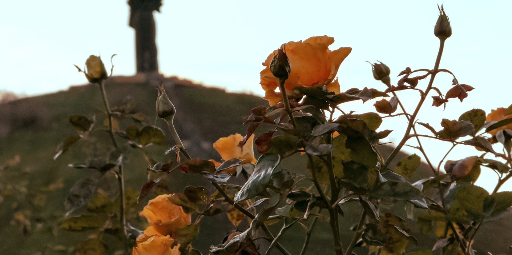 Парки Черкас: красиві зелені зони міста з видом на «море»