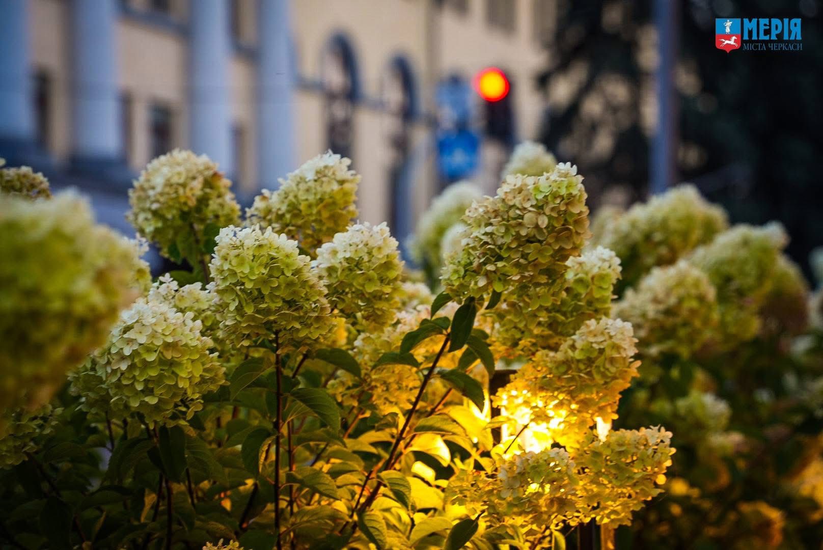 Парки Черкас: красиві зелені зони міста з видом на «море» - фото 5