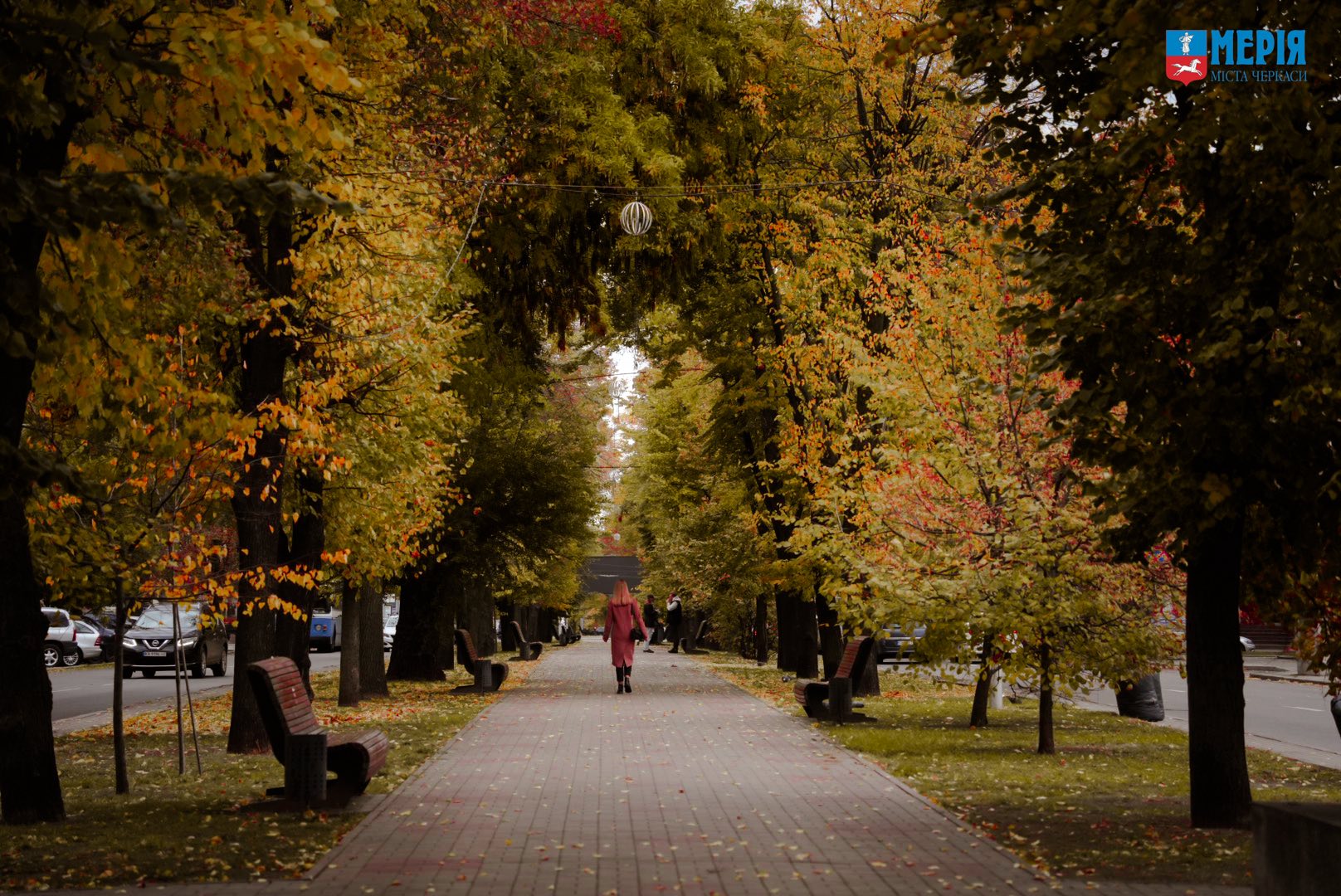 Парки Черкас: красиві зелені зони міста з видом на «море» - фото 6