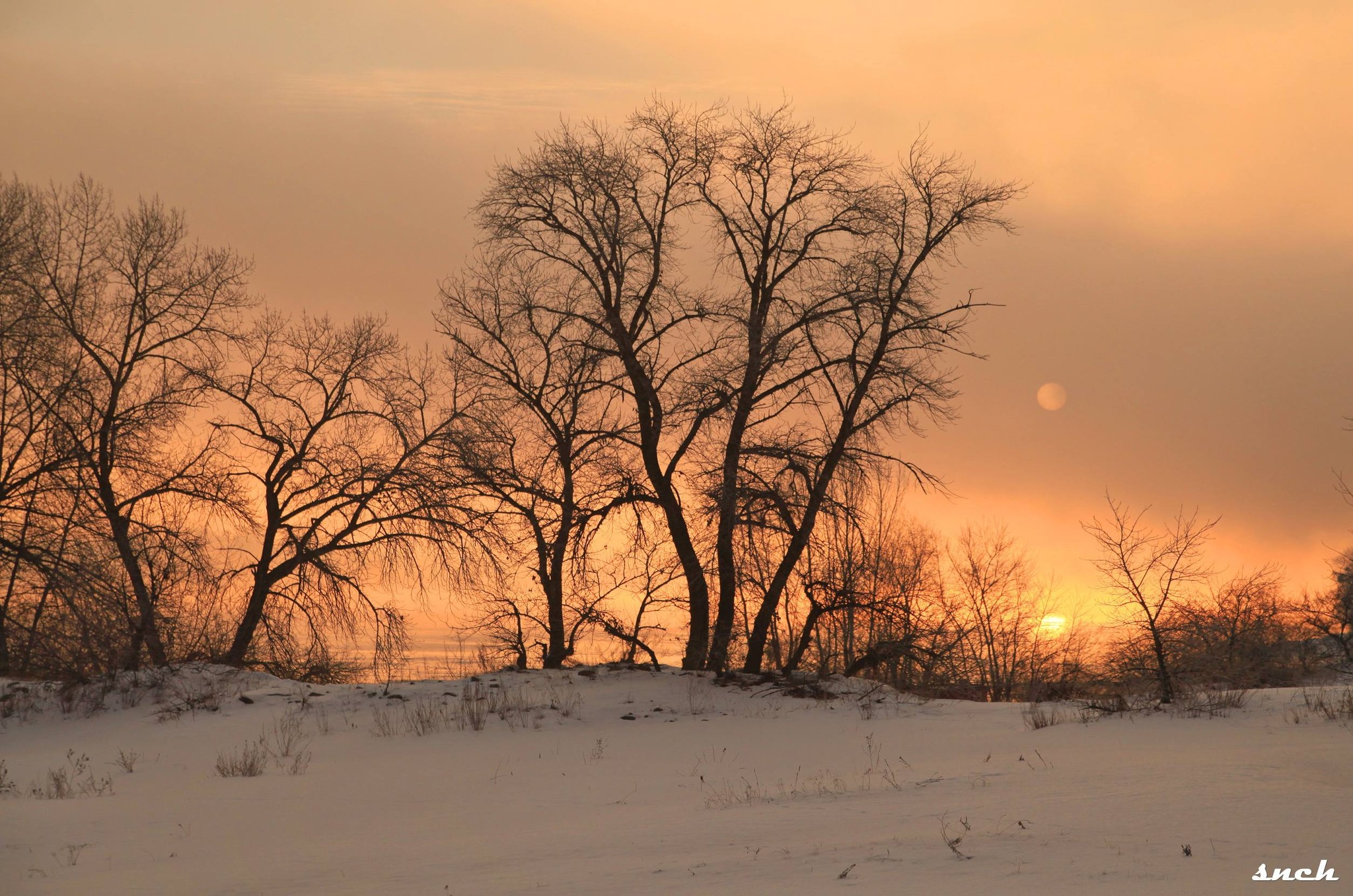 Фотограф з Канева зробив атмосферні знімки зимового світанку на Дніпрі - фото 3