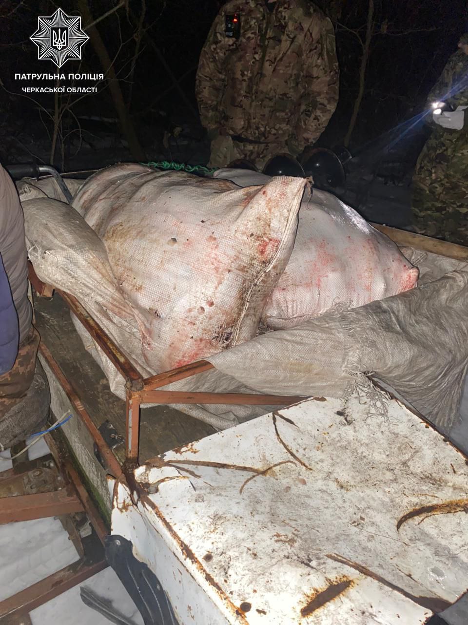 Наловили риби на 2 млн грн: Черкаський водний патруль виявив порушників - фото 2