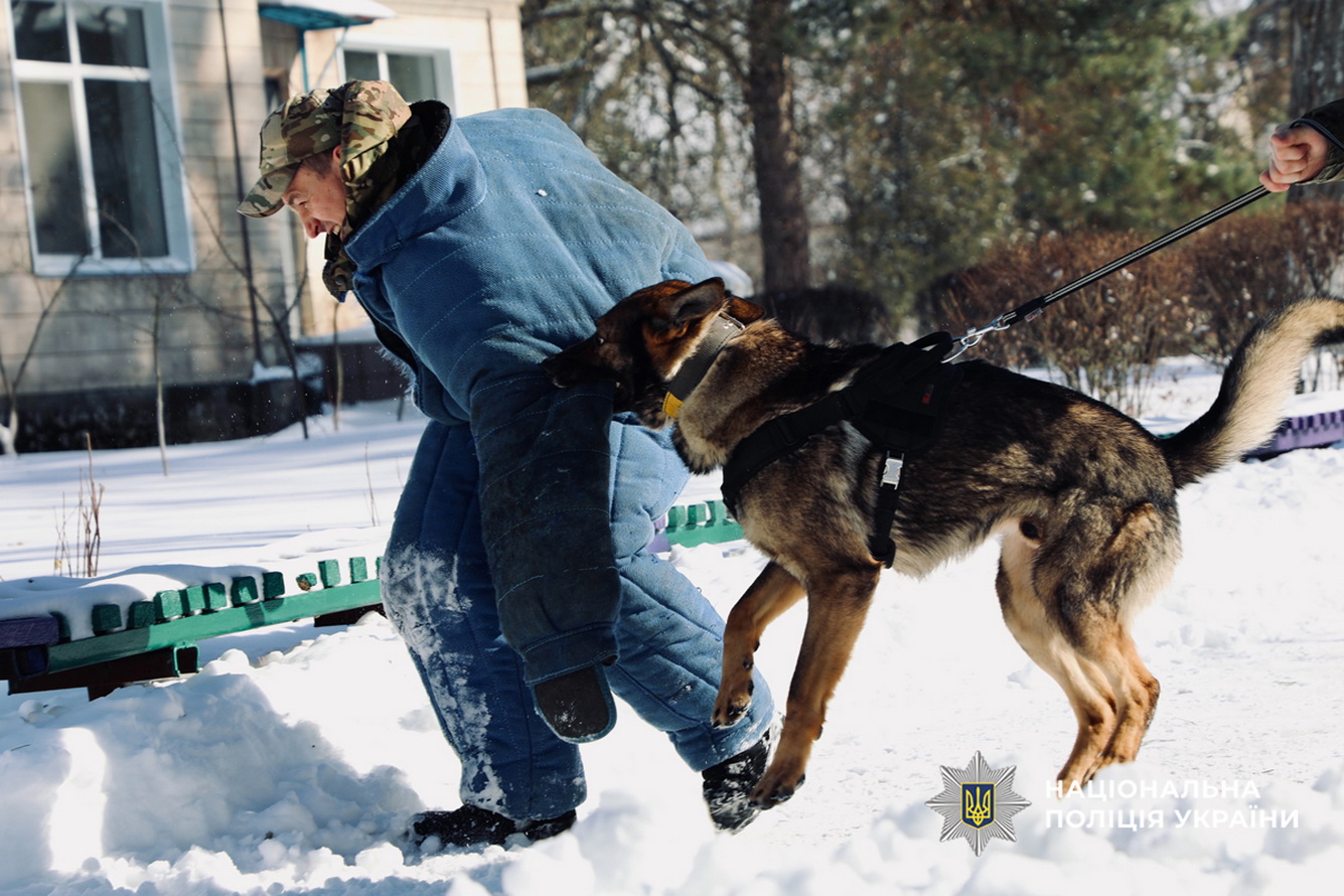 Черкаські кінологи провели показові виступи для дітей у санаторії «Сосновий бір»